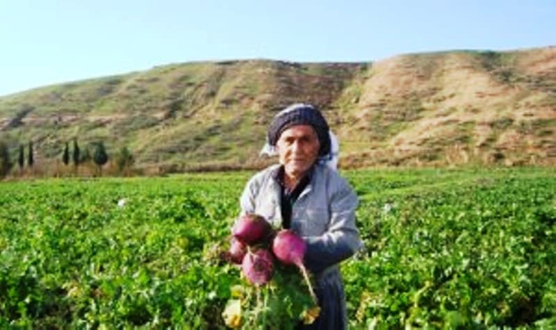 Market Linkages & Farmer Empowerment