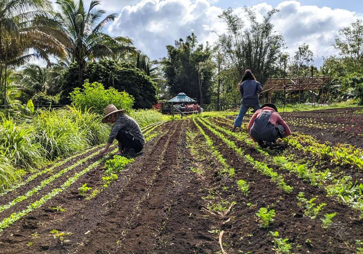 Farmer Support & Training