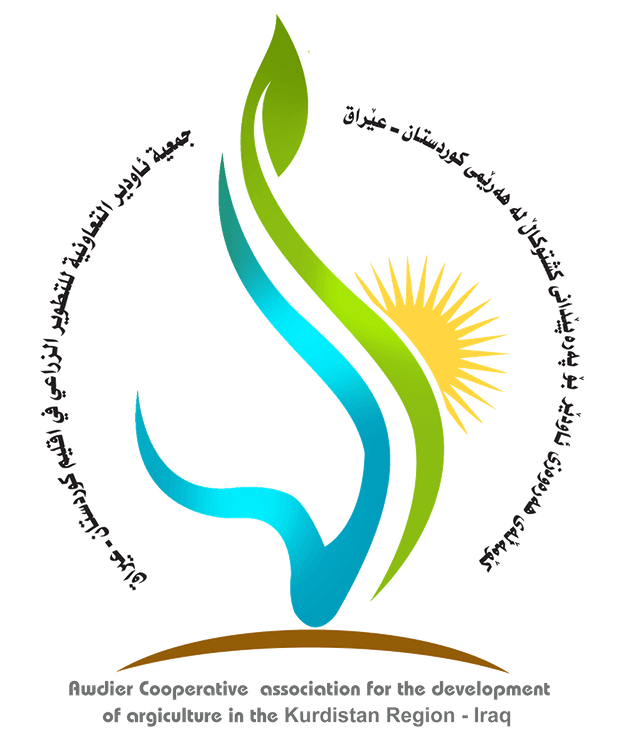 Company Image